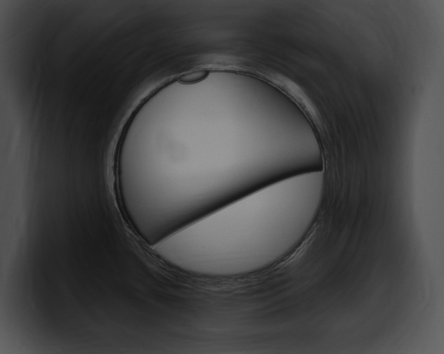 X0000100501435200806130721