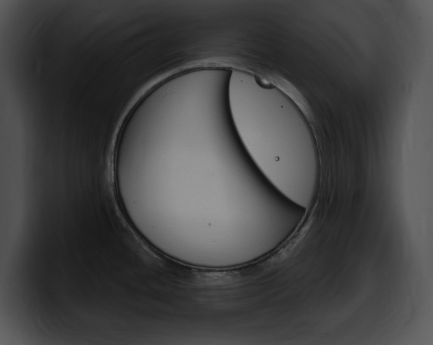 X0000100501436200806130721
