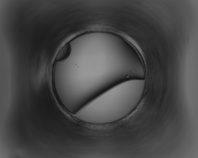 X0000100501437200806130721