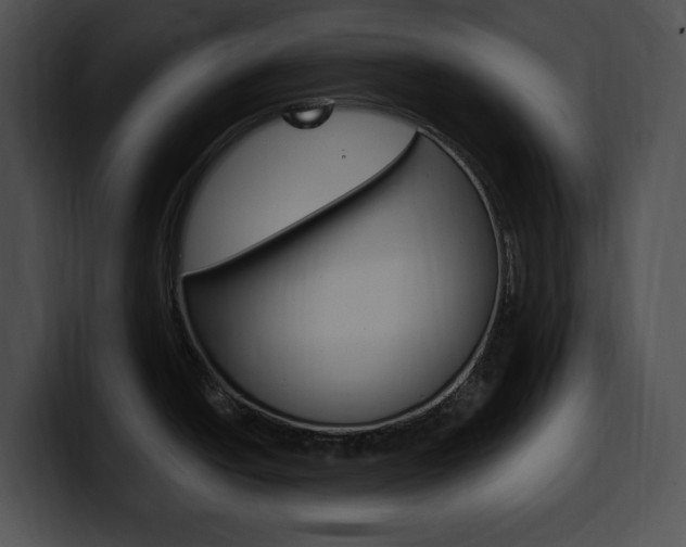 X0000100501438200806130721
