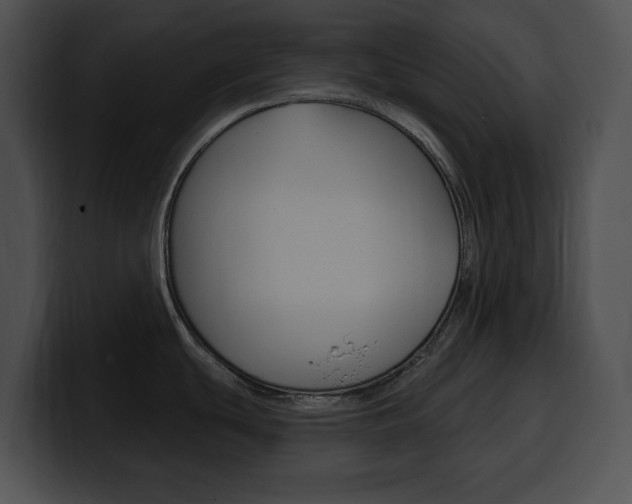 X0000100501439200806130721