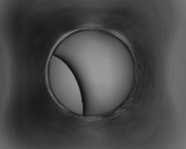 X0000100501440200806130721