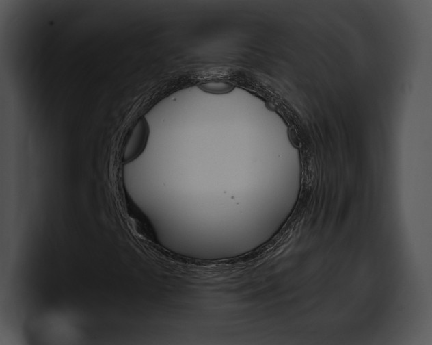 X0000100501441200806130720