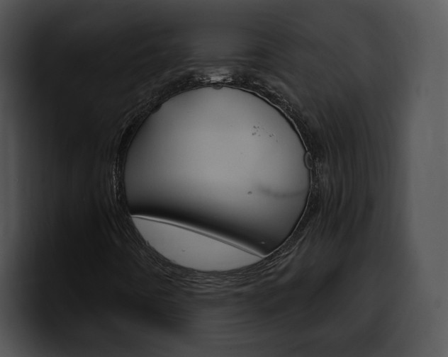 X0000100501442200806130720