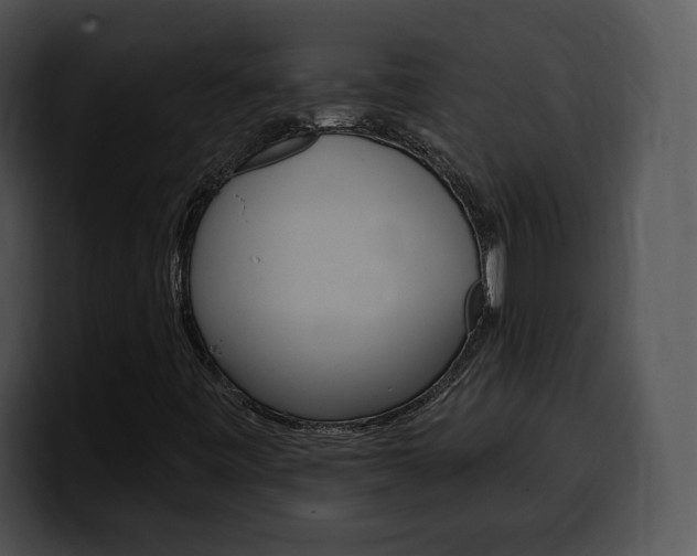 X0000100501443200806130720