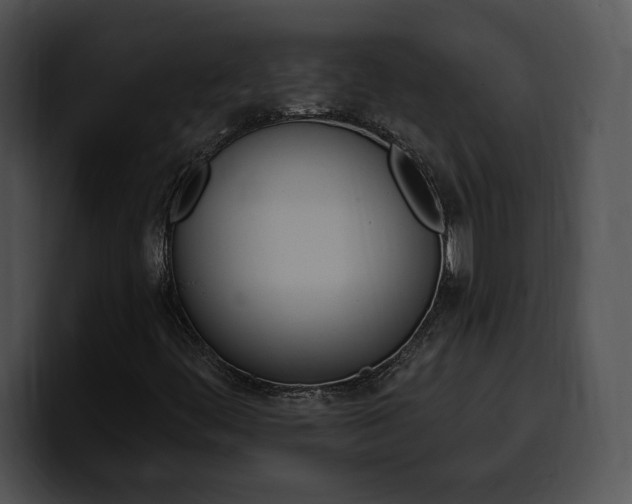 X0000100501444200806130720