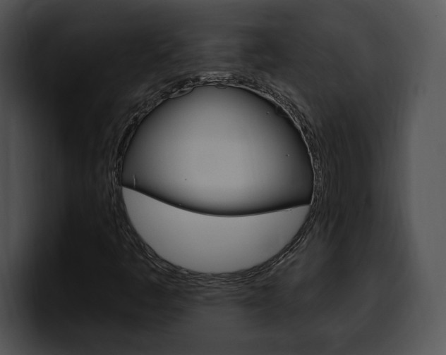 X0000100501445200806130720