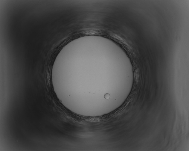 X0000100501446200806130720