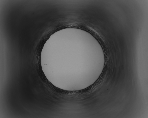 X0000100501447200806130720