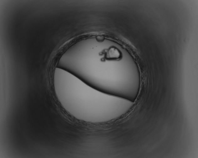 X0000100501448200806130720