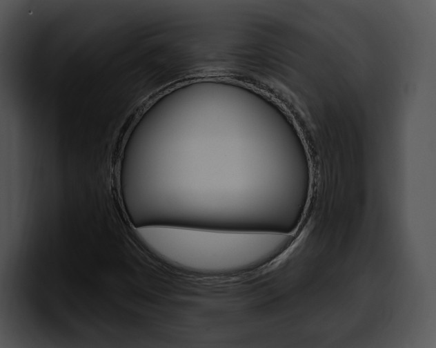 X0000100501449200806130720