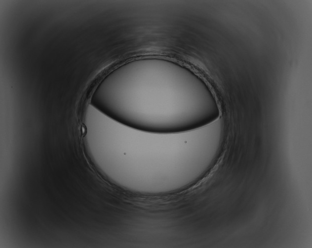 X0000100501450200806130720