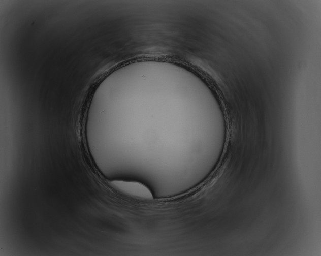 X0000100501451200806130720