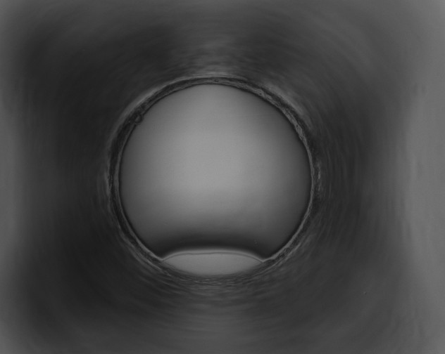 X0000100501452200806130720