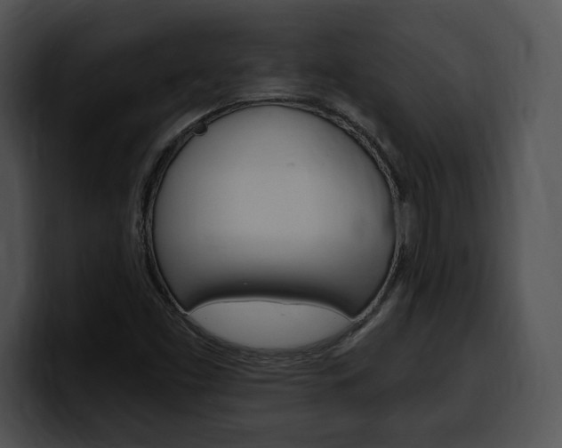 X0000100501453200806130720