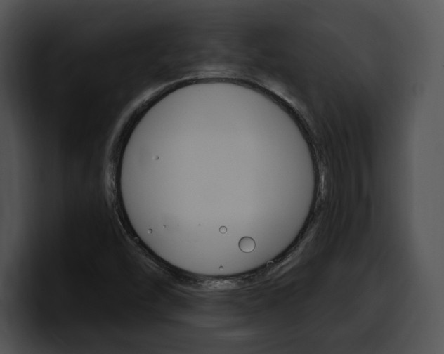 X0000100501454200806130720
