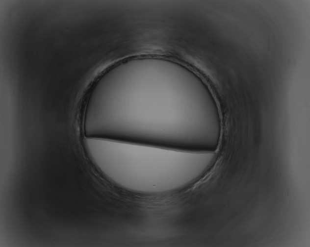 X0000100501455200806130720