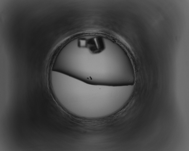X0000100501456200806130720