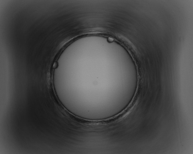 X0000100501457200806130720