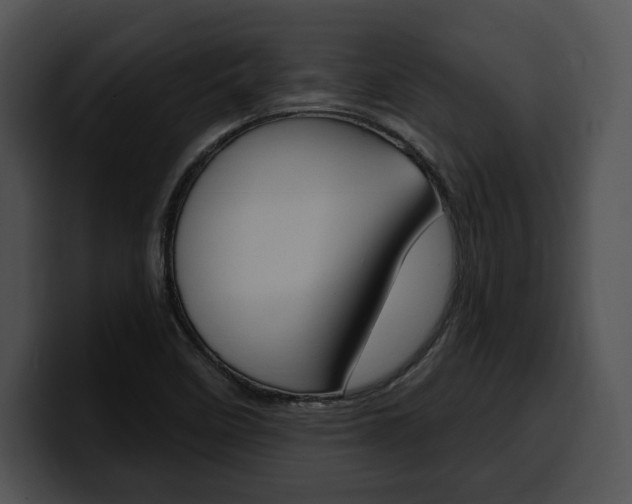 X0000100501458200806130720