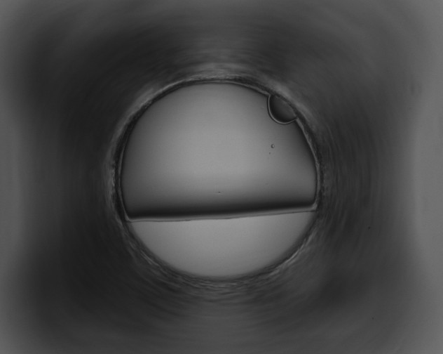 X0000100501459200806130720