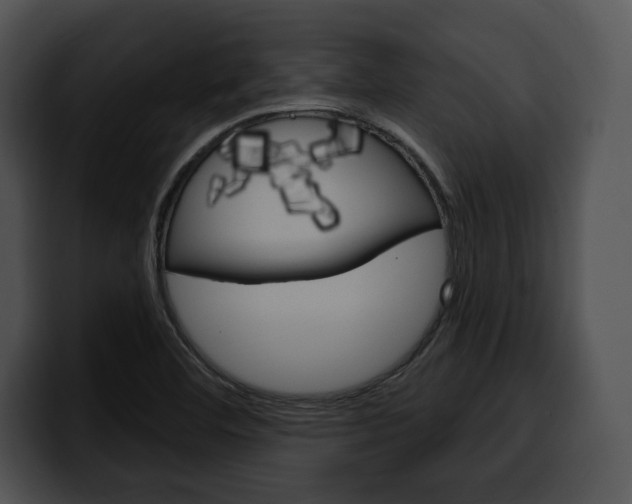 X0000100501460200806130720