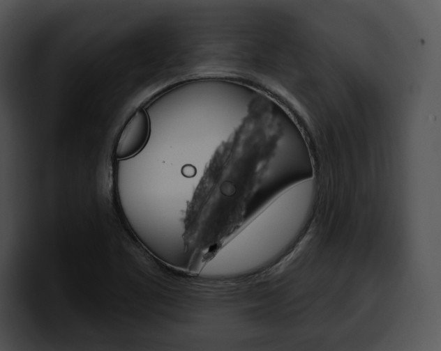 X0000100501461200806130720