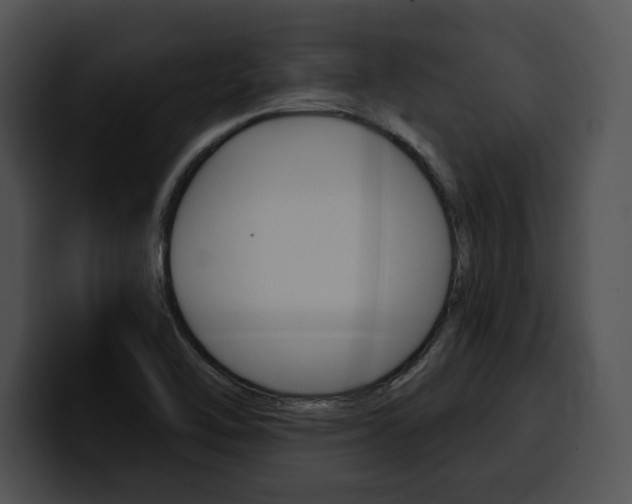 X0000100501462200806130720