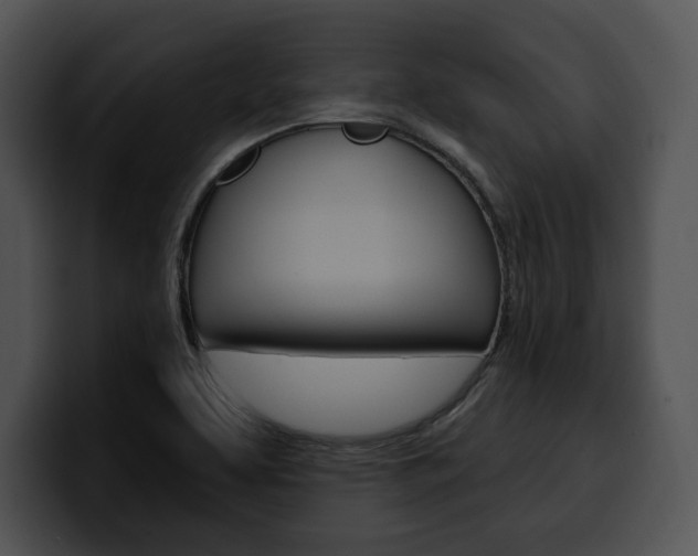 X0000100501463200806130720