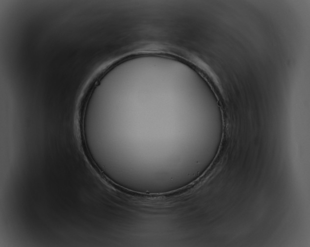 X0000100501464200806130720