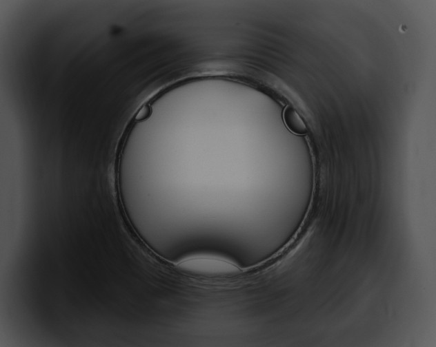 X0000100501465200806130720