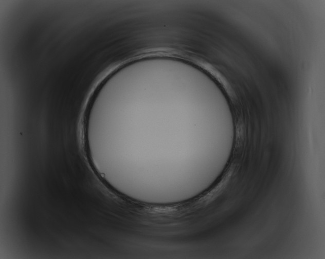 X0000100501466200806130720