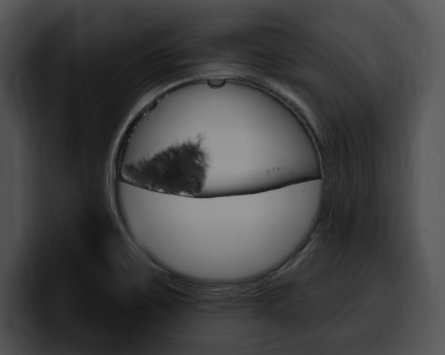 X0000100501467200806130720