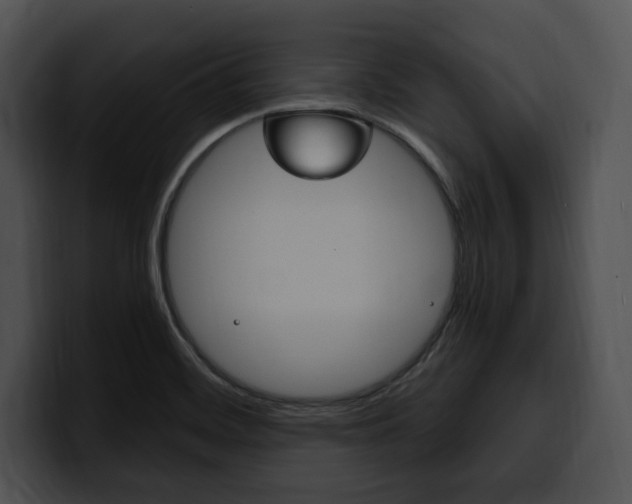 X0000100501468200806130720