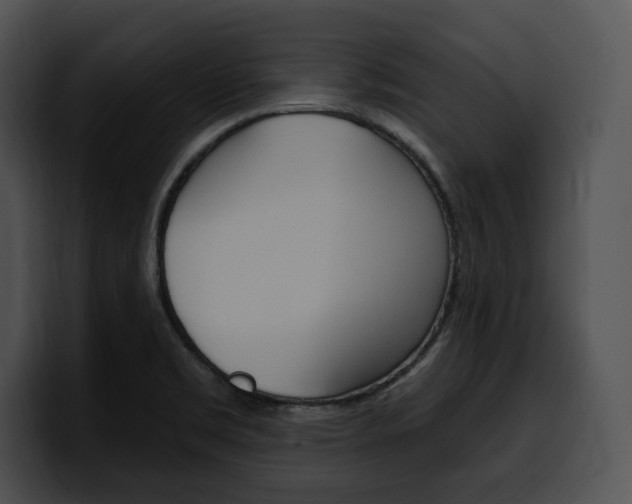 X0000100501469200806130720
