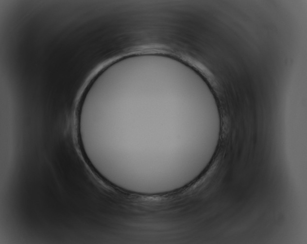 X0000100501470200806130720