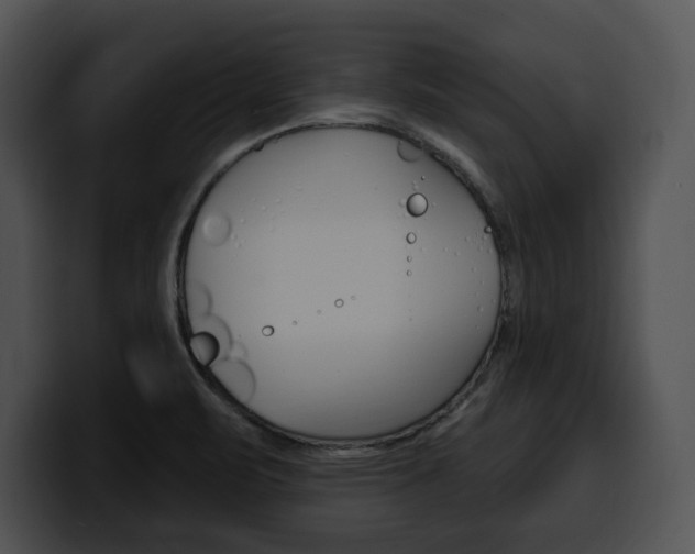 X0000100501471200806130720