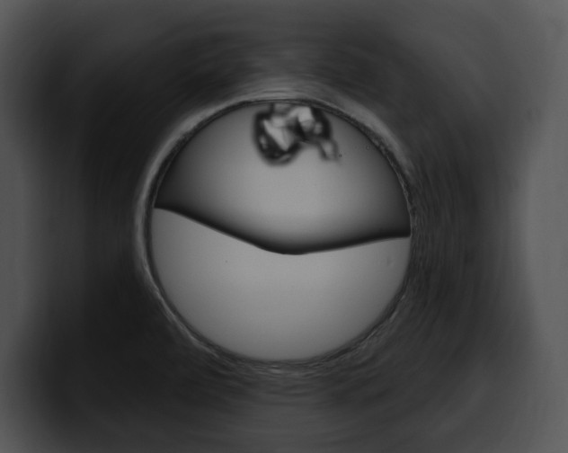 X0000100501472200806130720