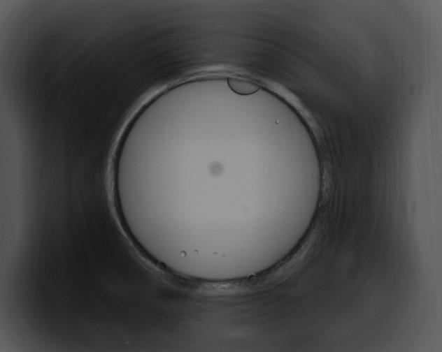 X0000100501474200806130720