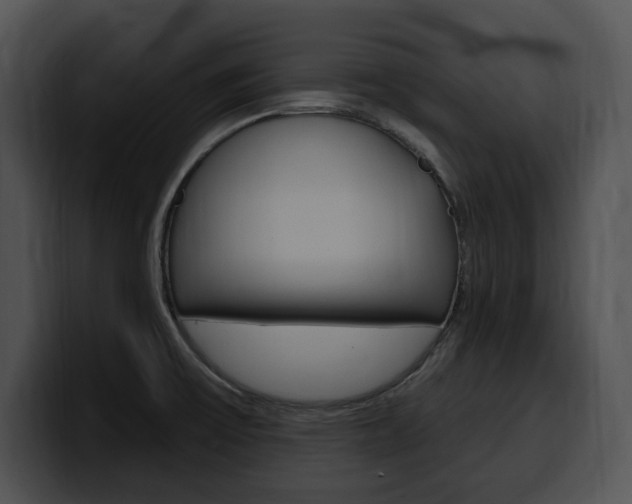 X0000100501475200806130720
