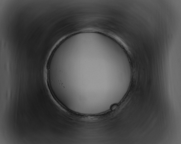 X0000100501476200806130720
