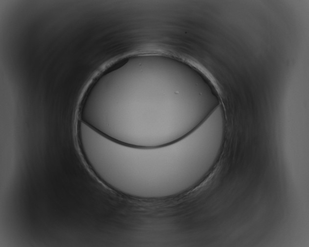 X0000100501477200806130720