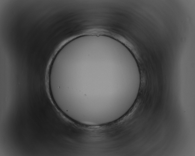 X0000100501478200806130720