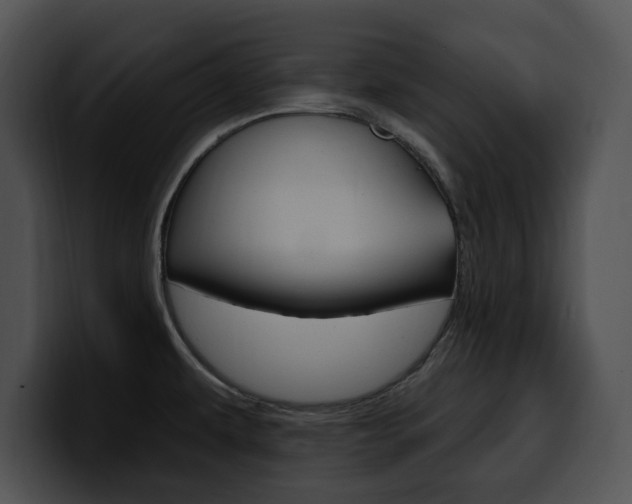 X0000100501479200806130720