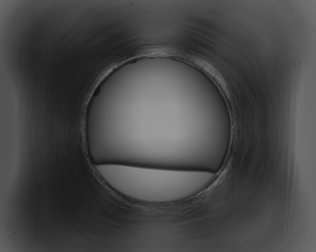 X0000100501481200806130720