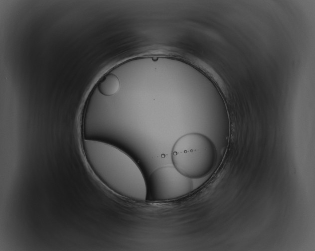 X0000100501483200806130720