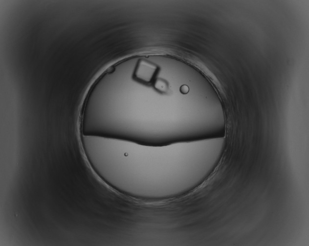 X0000100501484200806130720