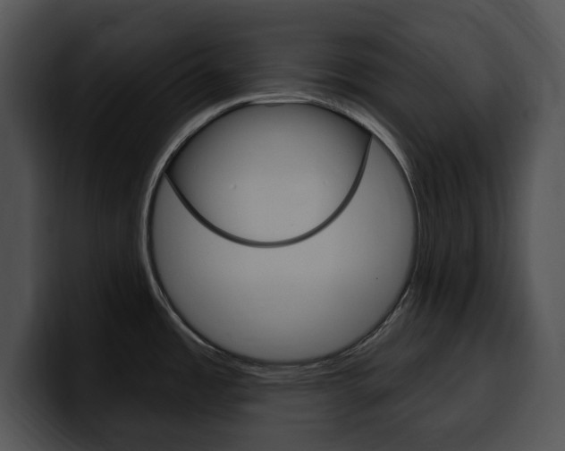 X0000100501485200806130720