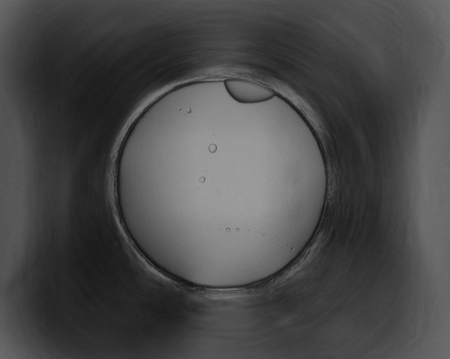 X0000100501486200806130719