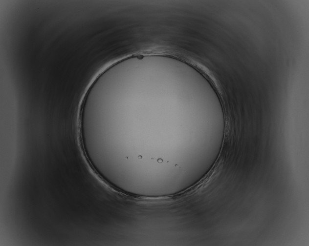 X0000100501487200806130719